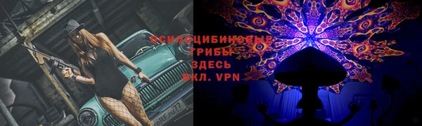 винт Новозыбков