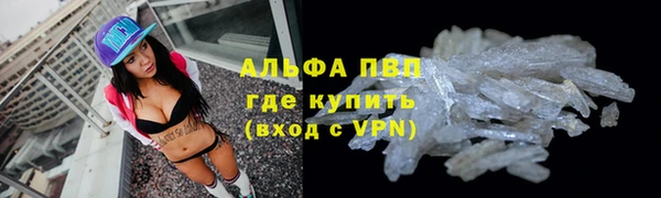 винт Новозыбков