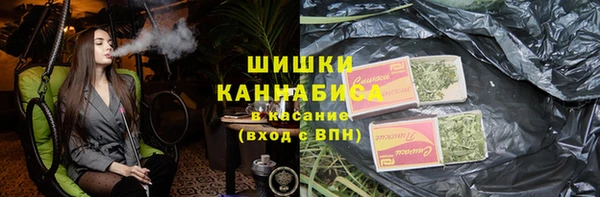 винт Новозыбков
