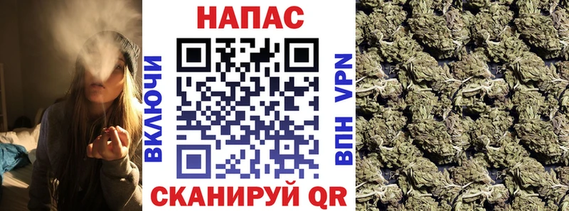 Бошки марихуана планчик  Купить где  Ялуторовск 